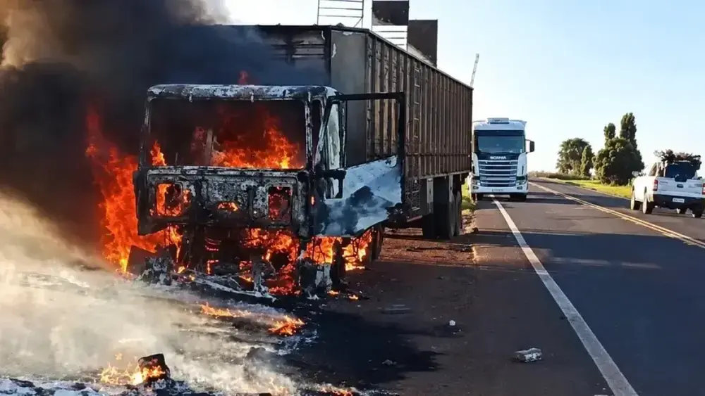 Bois são soltos em rodovia após carreta pegar fogo em MS