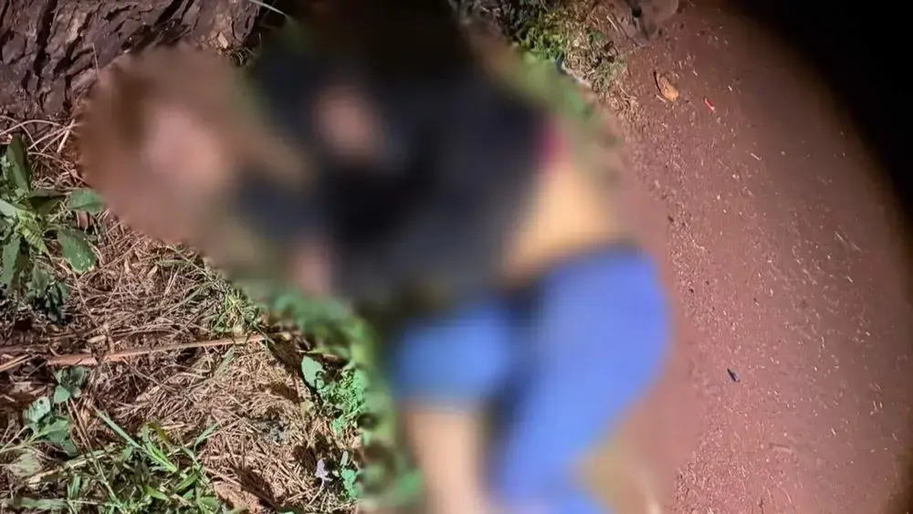 Ciclista morre atropelado em rodovia MS-376