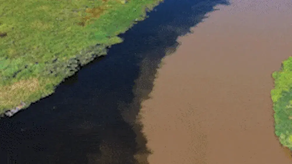 Encontro de rios cria contraste único no Pantanal