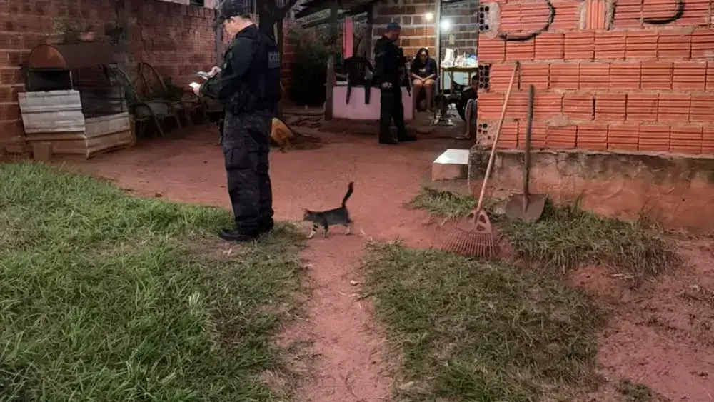 Operação Hércules mira facção por execução em rodoviária