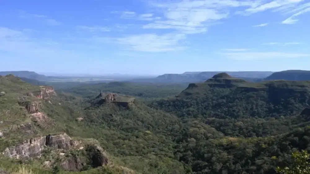 Pantanal reduz desmatamento em 65% e Cerrado cai 11,5%