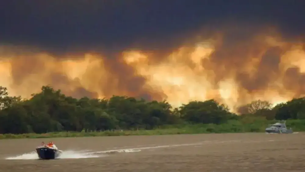 Pantanal tem alta de 770% na área queimada e MS em alerta