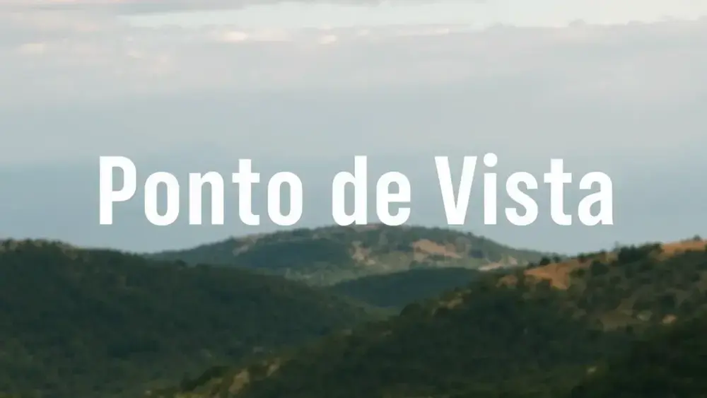 Ponto de Vista: resumo do filme, sem spoilers, bem direto today